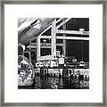 Its All About Scale Bw Framed Print