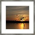 It's Nature's Way Of Receiving You Framed Print