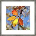 It's Time To Change Framed Print