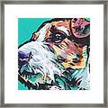 Jack Be Nimble  Jack Russell Terrier Framed Print
