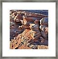 Jagged Sandstone Ridges In Valley Of Fire Framed Print