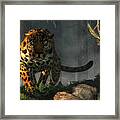 Jaguar Framed Print