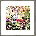 Japanese Garden In The Spring Framed Print