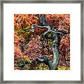 Japanese Maple - Aged To Perfection Framed Print
