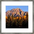 Jasper - Pyramid Mountain Autumn Season Framed Print