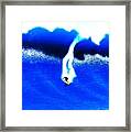 Jaws Barrel 1 Of 3 Framed Print