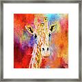 Jazzy Giraffe Colorful Animal Art By Jai Johnson Framed Print