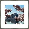 Jefferson Memorial At Cherry Blossom Time On The Tidal Basin Ds008 Framed Print