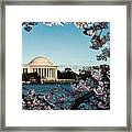 Jefferson Memorial In Spring Framed Print