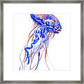 Jellyfish Framed Print