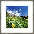 Jenny Lake Mountainside Framed Print