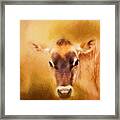 Jersey Cow Farm Art Framed Print