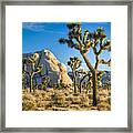 Joshua Tree And Intersection Rock Framed Print