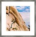 Joshua Tree Rock Climbing Framed Print