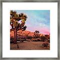 Joshua Tree With Dawn's Early Light Framed Print