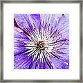 Joy And Inspiration Framed Print