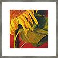 Joy's Sunflower Framed Print