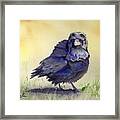 Judy's Raven Framed Print