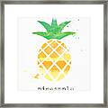 Juicy Pineapple Framed Print