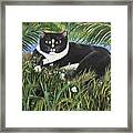 Jungle Kitty Framed Print