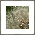 Just A Weed Framed Print