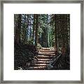Just Another Stairway To Heaven Framed Print