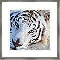 Just Call Me Gorgeous Framed Print