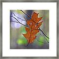 Just Hangin Out 2 110417 Framed Print
