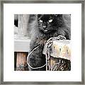 Just Hanging Out Framed Print