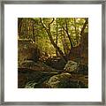 Kaatskill Creek Framed Print