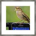 Karaoke Wren Framed Print