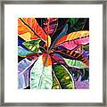 Kauai Croton Leaves Framed Print