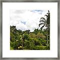 Kauai Hindu Monastery Greenery 1 Framed Print