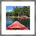 Kayaking For Manatees Framed Print