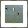 Kayaks And Rafts Framed Print