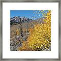 Kebler Pass Autumn Mountain Landscape Framed Print