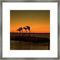 Key Largo Orange Sunset Framed Print