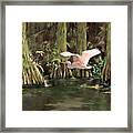 King Of The Swamp Framed Print