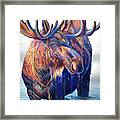 King Of The Wasatch Framed Print