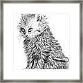 Kitten #1 Framed Print
