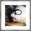 Kitty Cuteness Soft And Sweet Framed Print