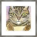 Kitty Framed Print