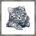 Kitty Framed Print
