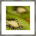 Kiwi Framed Print