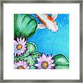 Koi And Lilies Cards And Prints Framed Print