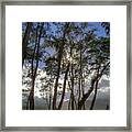 Koki Landscape Framed Print