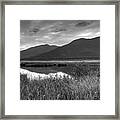 Kootenay Marshes In Black And White Framed Print