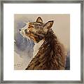 Kotora - My Parents Cat Framed Print