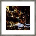 Kwan Yin Meditates Framed Print