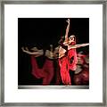 La Bayadere Ballerina In Red Tutu Ballet Framed Print